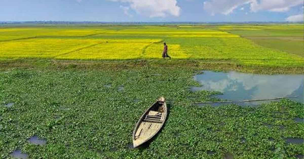 নিঝুম দ্বীপের বালুতে মিলেছে মূল্যবান খনিজ