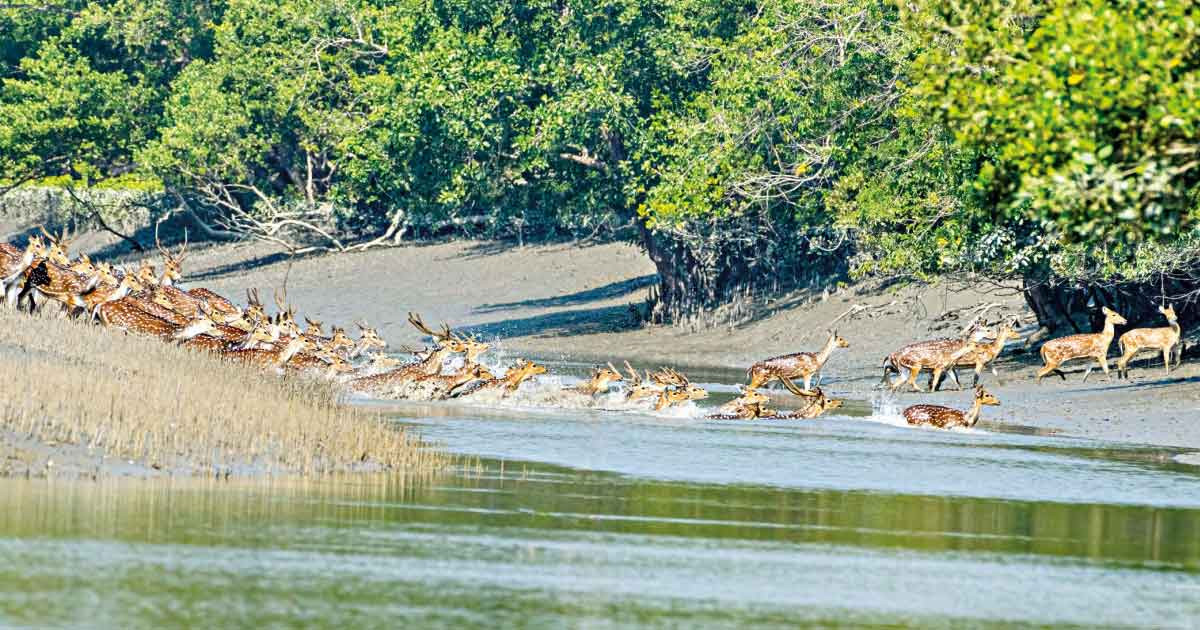 নিঝুম দ্বীপের বালুতে মিলেছে মূল্যবান খনিজ