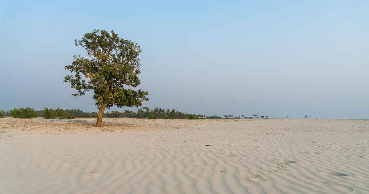 নিঝুম দ্বীপের বালুতে মিলেছে মূল্যবান খনিজ