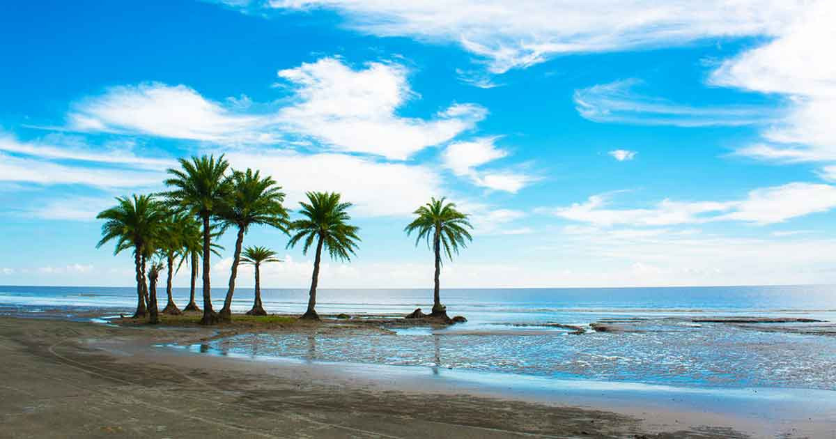 নিঝুম দ্বীপের বালুতে মিলেছে মূল্যবান খনিজ