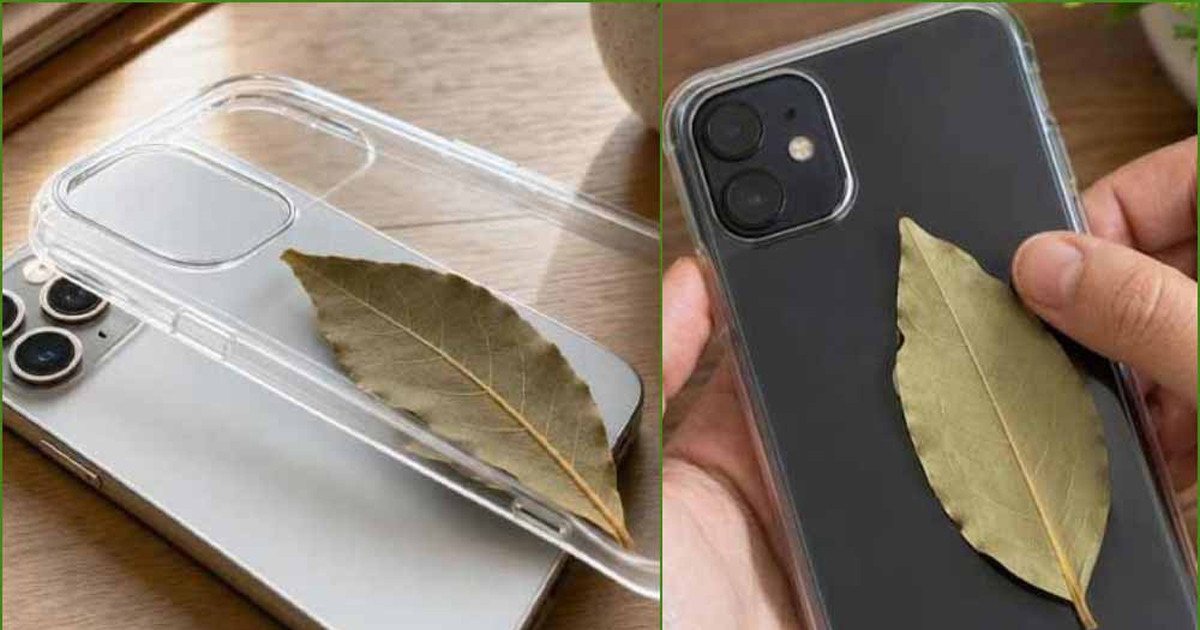 ফোনের কভারে তেজপাতা রাখছেন অনেকেই! কারণটা কী?