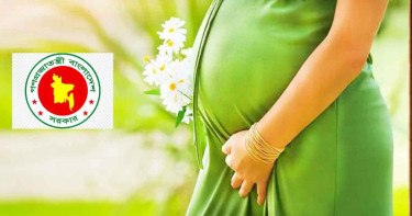 মাতৃত্বকালীন ভাতা: অনলাইনে আবেদন পদ্ধতি ও শর্তাবলী, যত টাকা পাবেন
