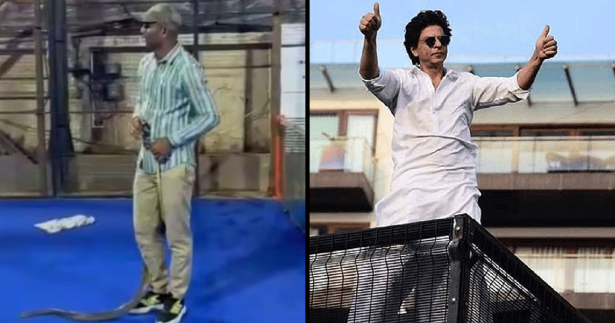মধ্যরাতে শাহরুখের ‘মান্নাত’-এ সাপের হানা