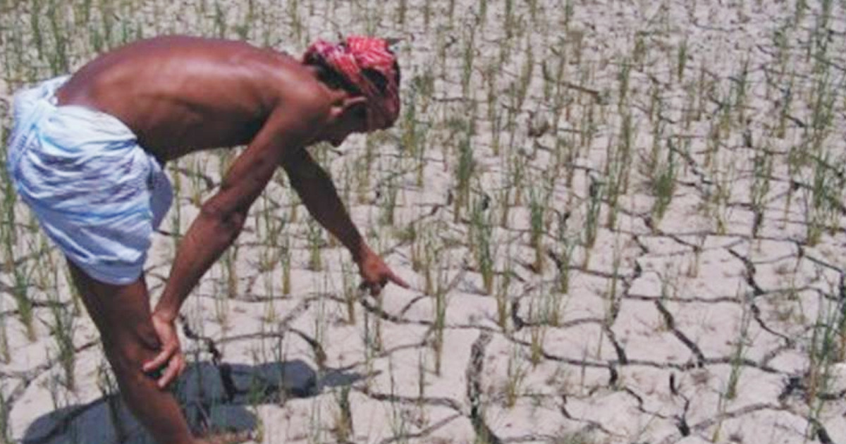 জলবায়ু পরিবর্তনের প্রভাব কৃষিতে