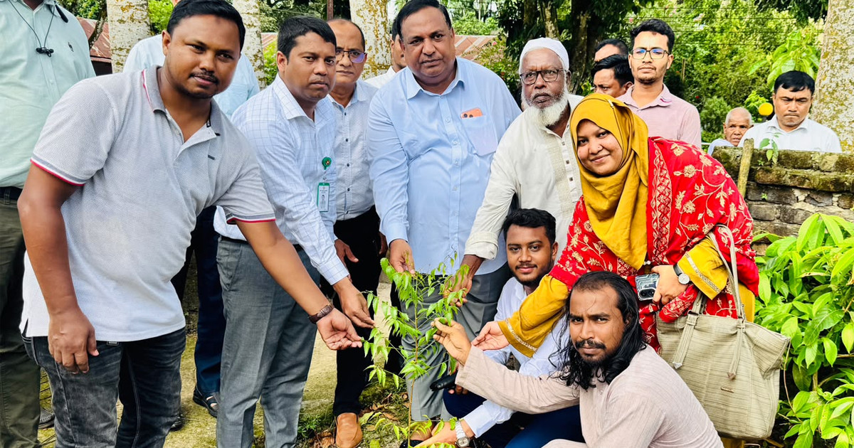 স্বেচ্ছাসেবী সংগঠনের মাঝে ২ হাজার গাছের চারা বিতরণ করল বসুন্ধরা শুভসংঘ