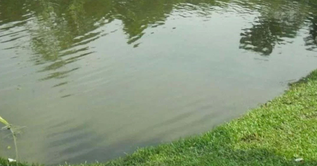 আড়াইহাজারে পানিতে ডুবে ৪ শিশুর মৃত্যু