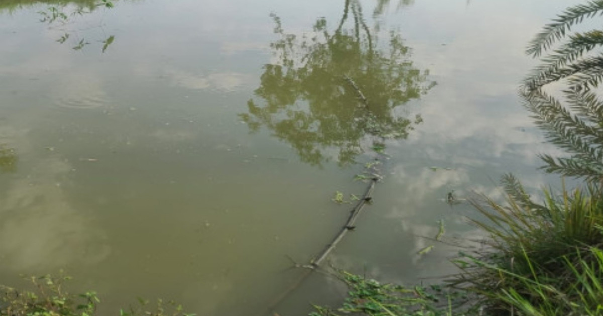 যশোরে পানিতে ডুবে প্রাণ গেল ২ শিশুর