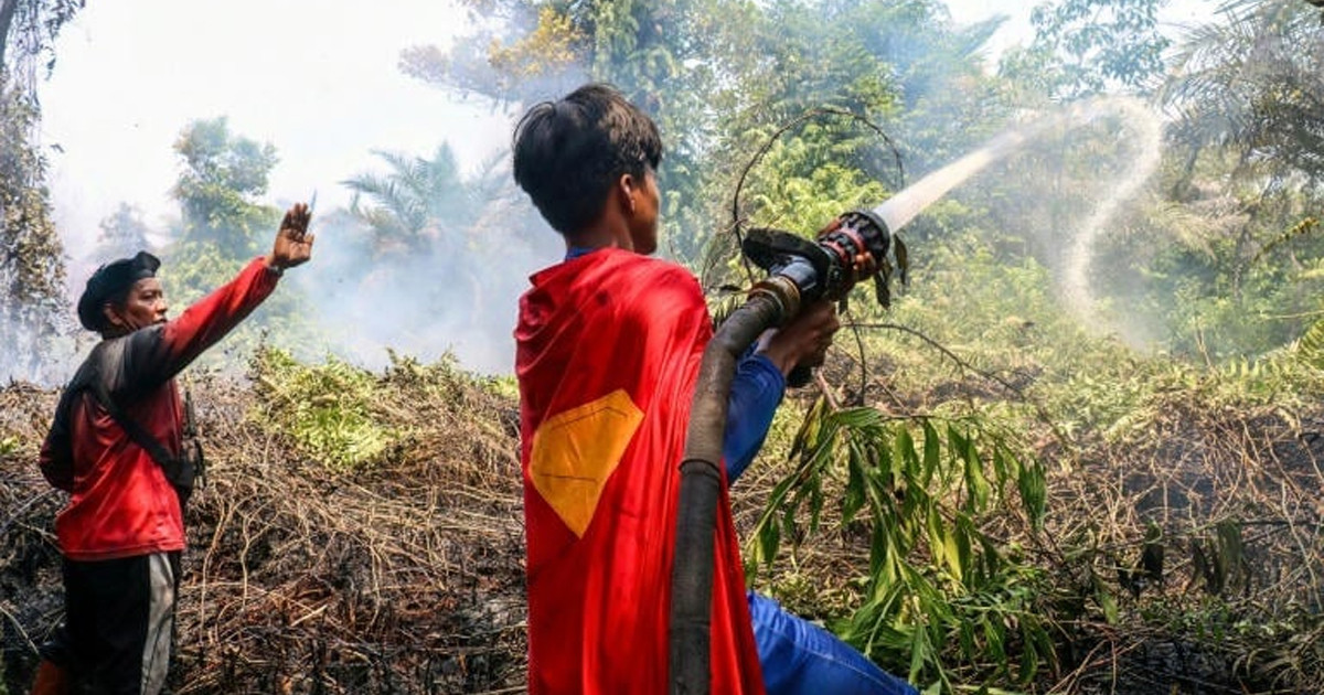 কিশোর রুদিয়ানসাহ ইন্দোনেশিয়ায় দাবানল নেভানোর ‘সুপারম্যান’