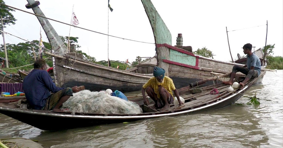 ভরা মৌসুমেও ইলিশের আকাল, দেনার বোঝায় দিশেহারা জেলেরা