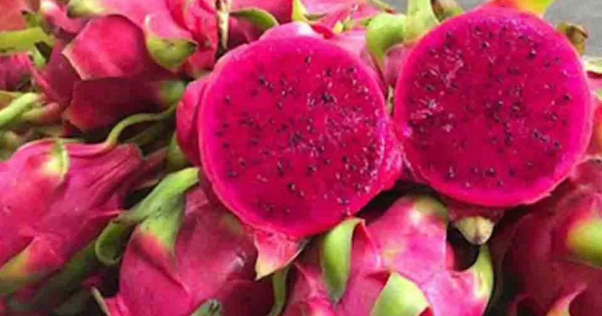 যাদের জন্য ড্রাগন ফল নিরাপদ নয়