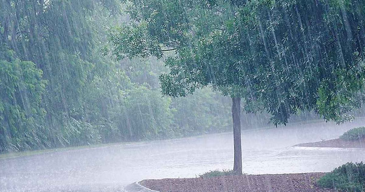 দেশজুড়ে বৃষ্টির সম্ভাবনা, আগামী দুই দিন ভারী বর্ষণের আভাস