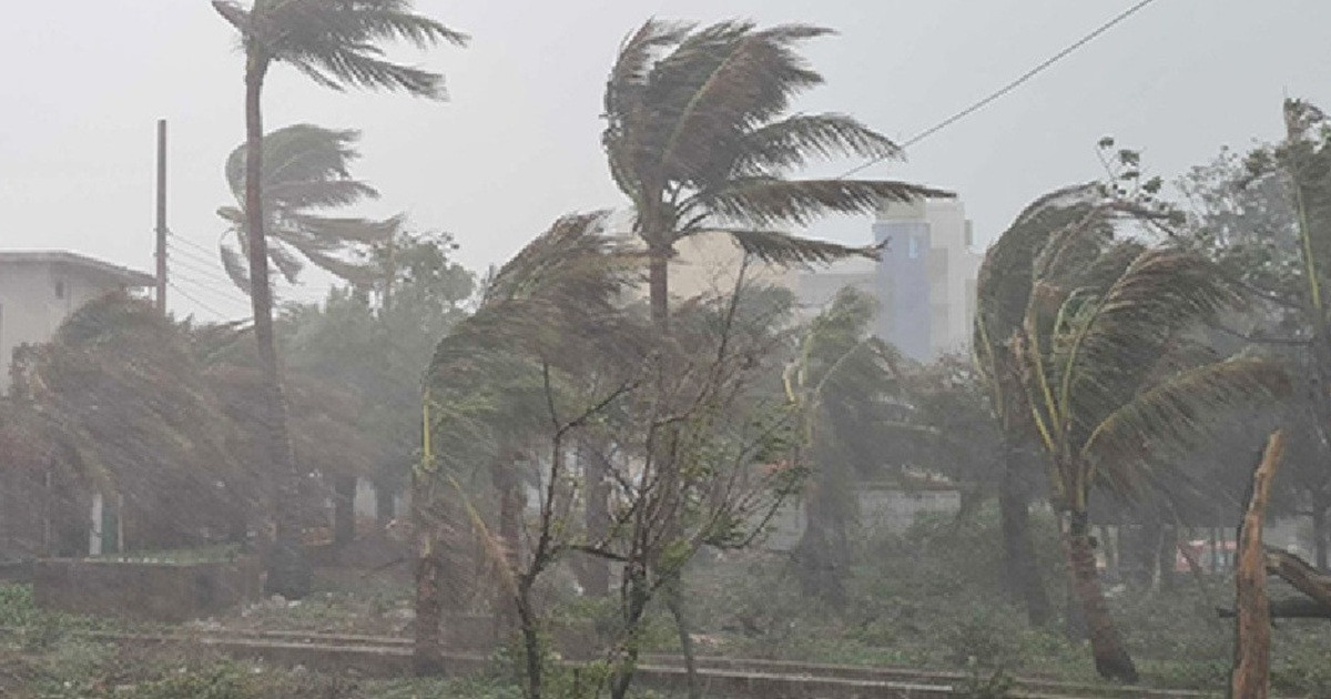 সন্ধ্যার মধ্যে যেসব জেলায় ঝড়ের শঙ্কা