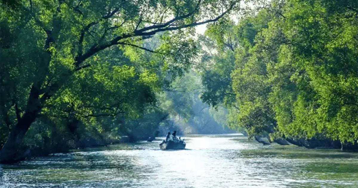 ১ সেপ্টেম্বর খুলছে সুন্দরবন