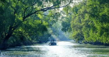 ১ সেপ্টেম্বর খুলছে সুন্দরবন