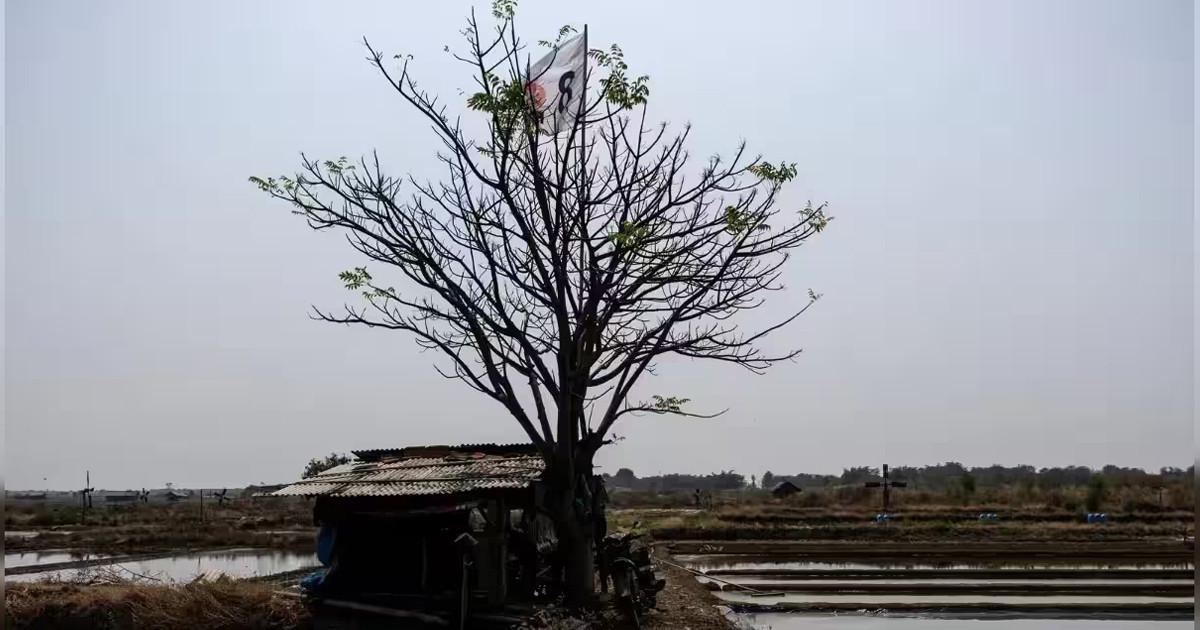 ফেব্রুয়ারি পর্যন্ত থাকতে পারে ‘অত্যন্ত শক্তিশালী’ এল নিনো: জাতিসংঘ