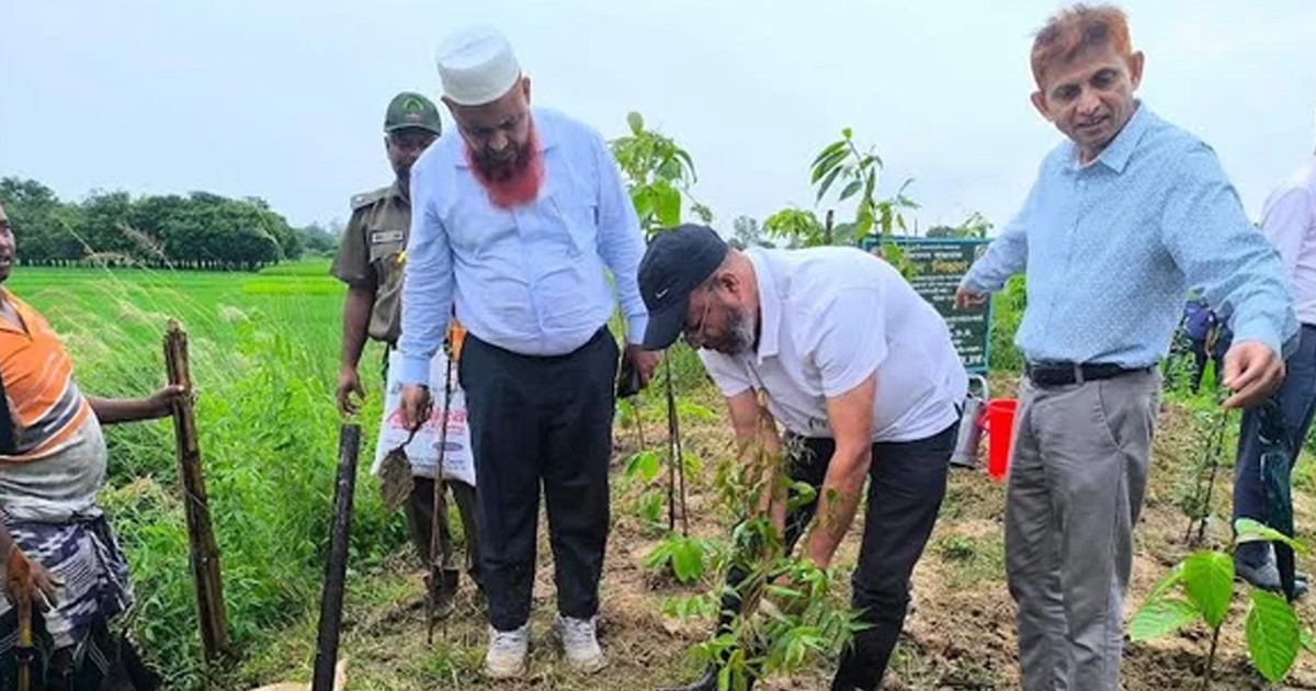 পরিবেশ ও জীববৈচিত্র্য রক্ষায় সবুজায়ন গুরুত্বপূর্ণ: পরিবেশ প্রতিমন্ত্রী
