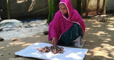 জর্দার কৌটায় ছিল ১০ বছরের কষ্টের সঞ্চয়, খুলে দেখলেন টাকাগুলো ঝাঁঝরা