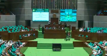 চার সংসদীয় স্থায়ী কমিটি গঠন, দায়িত্ব পেলেন যারা