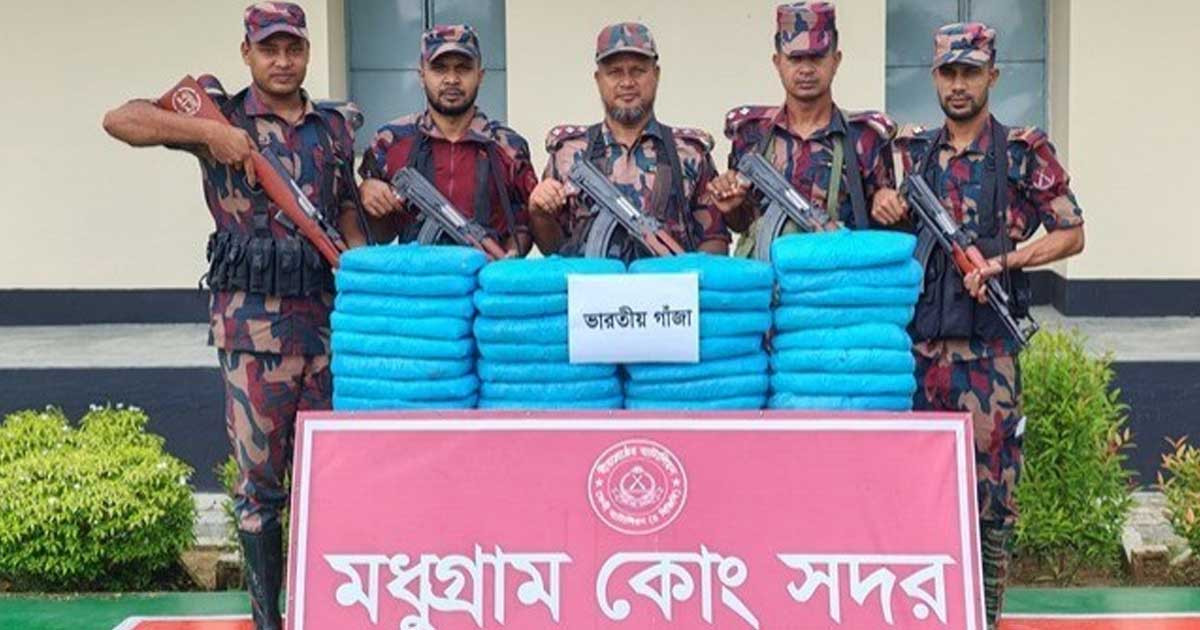 ফেনী সীমান্তে ৭৬ কেজি ভারতীয় গাঁজা জব্দ