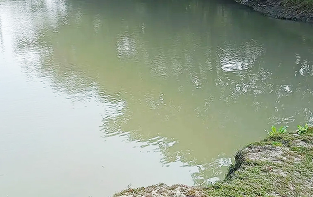 সাতক্ষীরায় পুকুরে ডুবে ২ শিশুর মৃত্যু