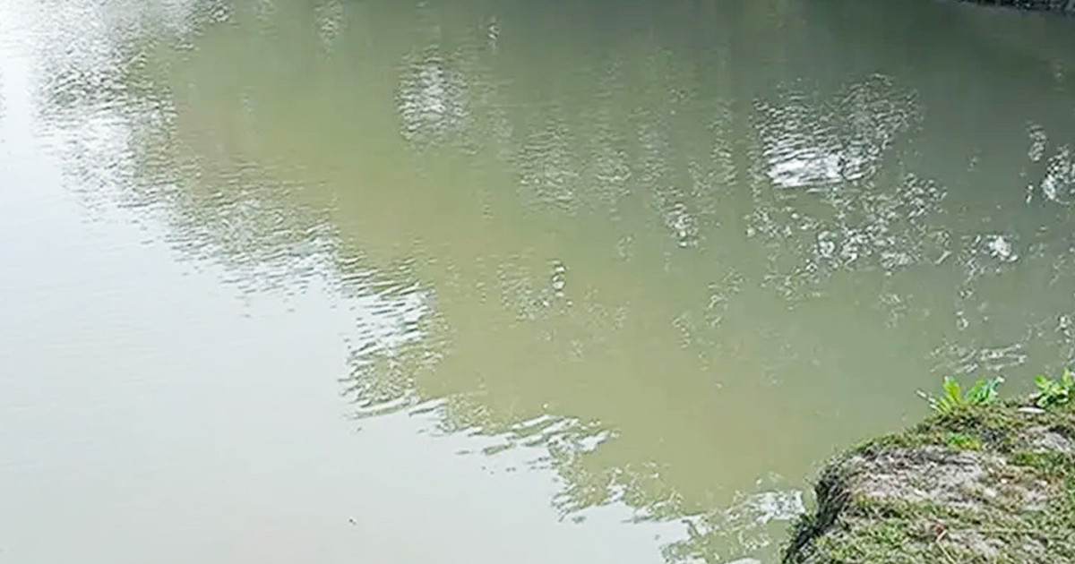 সাতক্ষীরায় পুকুরে ডুবে ২ শিশুর মৃত্যু