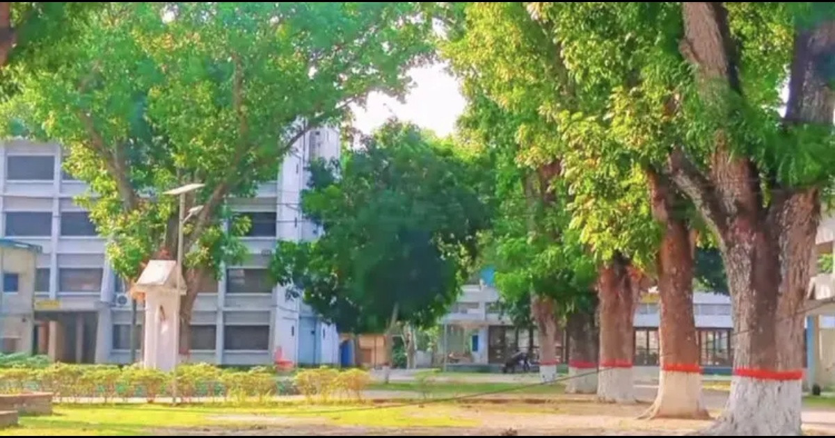 ব্যক্তি মালিকানার গাছ কাটতেও লাগবে অনুমোদন, অমান্য করলে মামলা