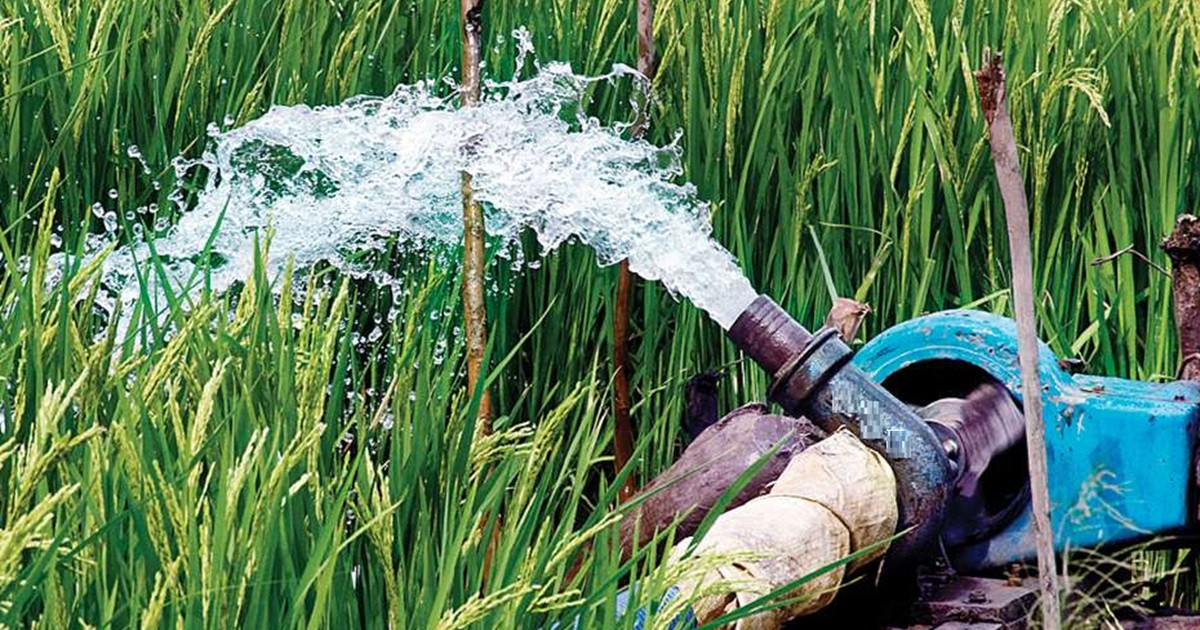 দেশের সব সেচ পাম্প সোলারে রূপান্তর করবে সরকার