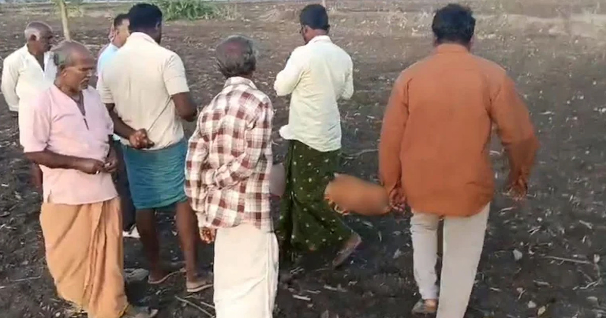 মাঠে পড়েছিল নারীর নিথর দেহ, আঁকড়ে ধরে কাঁদছিল দেড় বছরের সন্তান