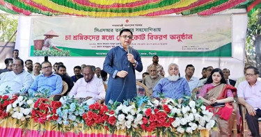 ‘জ্বালানি তেলের দাম বৃদ্ধিতে নিত্যপণ্যের বাজারে তেমন প্রভাব পড়বে না’