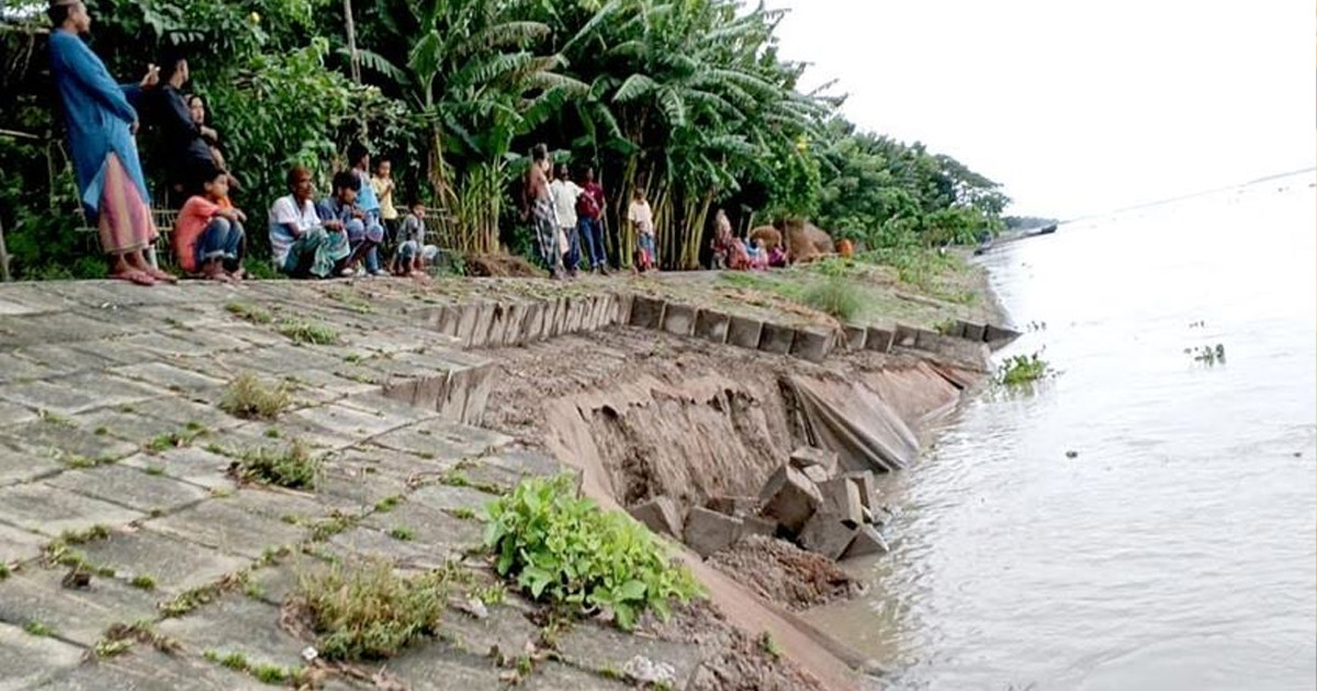 ব্রহ্মপুত্রের তীর রক্ষা বাঁধে বড় অংশজুড়ে ধস, আতঙ্কে কয়েক গ্রামের মানুষ