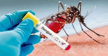 খুলনায় ডেঙ্গুতে ২৪ ঘণ্টায় রেকর্ড ৫ জনের মৃত্যু, আক্রান্ত ২৭৬
