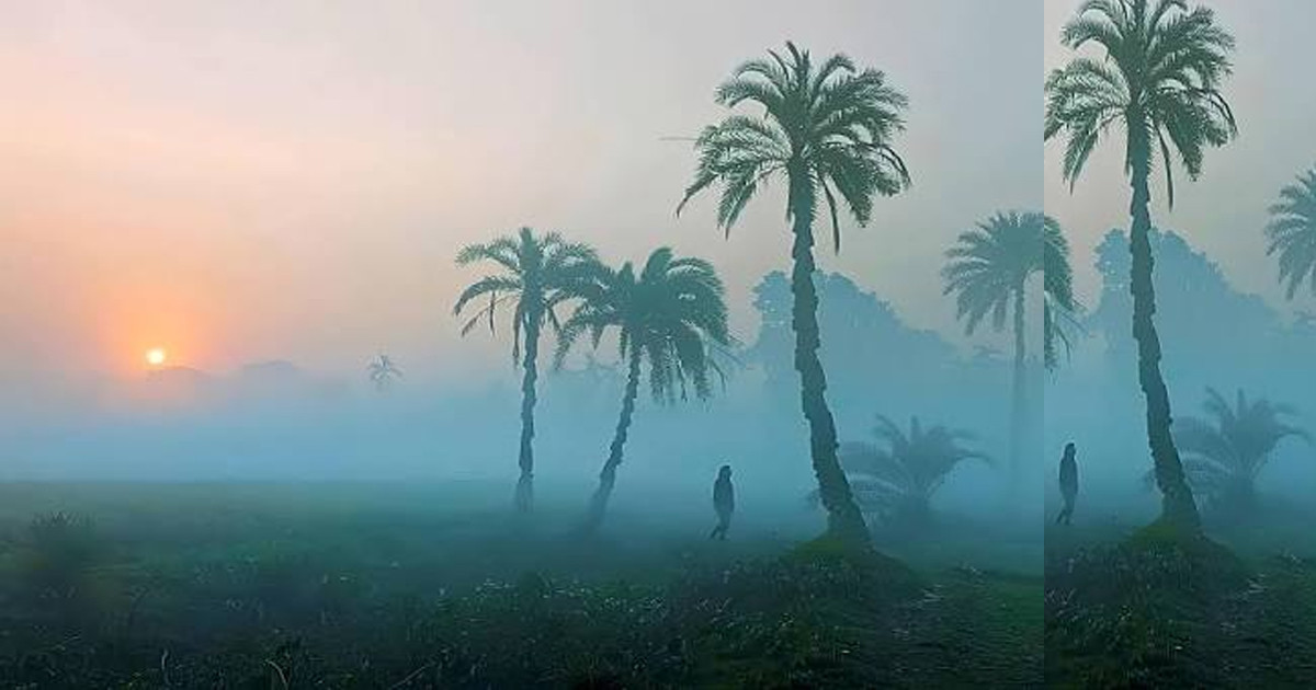 হঠাৎ ঠান্ডা, শীত কি এবার আগে ভাগেই জেকে বসবে?