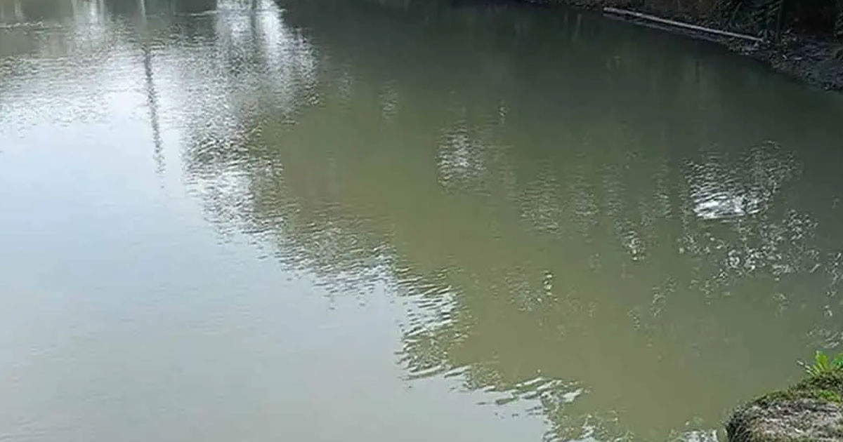কিশোরগঞ্জে পানিতে ডুবে প্রাণ গেল ২ শিশুর