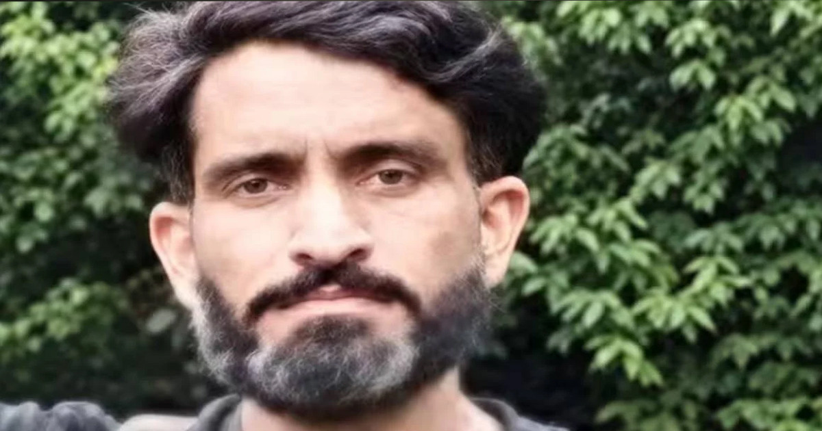 বুলেটের ক্ষত সারাতে জঙ্গলে মধু ব্যবহার করেছিলেন পাহেলগাম হামলার মাস্টারমাইন্ড?
