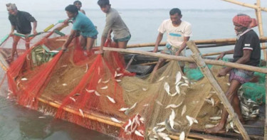 মেঘনায় ২২ দিন সব ধরনের মাছ ধরা বন্ধ