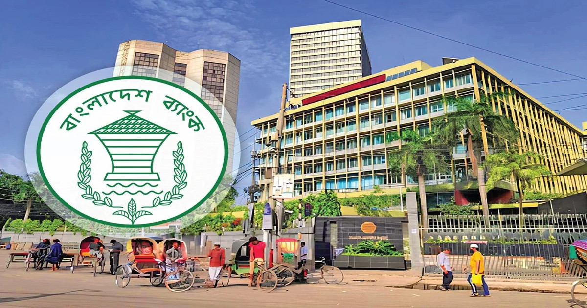 সরকার কেন্দ্রীয় ব্যাংক থেকে ঋণ না নিয়ে উল্টো ফেরত দিচ্ছে