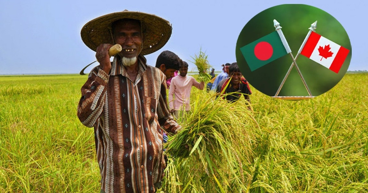 কৃষি উৎপাদন বাড়াতে বাংলাদেশের সঙ্গে কাজ করবে কানাডা