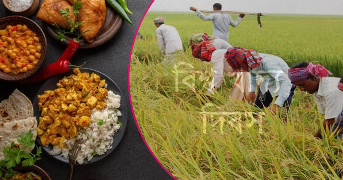 জলবায়ু বিপর্যয় ও সংঘাতে চরম হুমকিতে বৈশ্বিক খাদ্য নিরাপত্তা