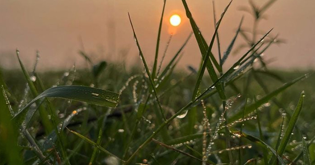 শীত আসছে কবে, জানালো আবহাওয়া অফিস
