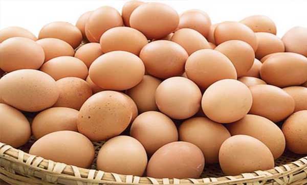 ফার্মের লাল ডিম