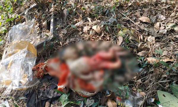 জাবিতে নবজাতকের লাশ উদ্ধার