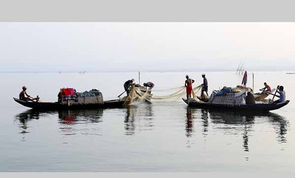 হুমকির মুখে কাপ্তাই হ্রদের মৎস্য সম্পদ
