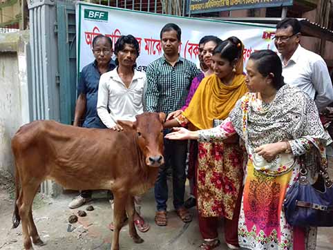 ফরিদপুরে নদী ভাঙ্গন কবলিতদের গাভী বিতরণ