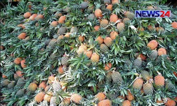 পাহাড়ে মিশ্র ফলের সুবাস